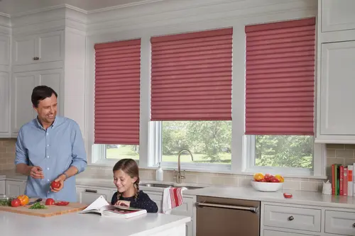 Unique Hunter Douglas Window Fashions