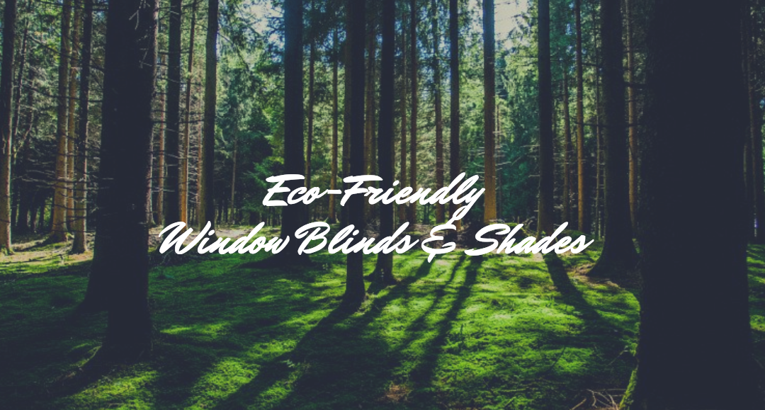 Eco-Friendly Window Blinds & Shades