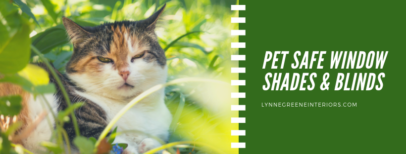 Pet Safe Blinds and Shades