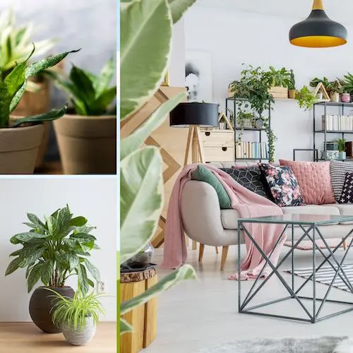 Five Interior Design Trends for 2020