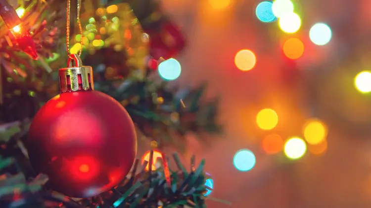 Biggest Christmas Debate Real or Fake Tree